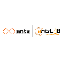 Ants Ceramics